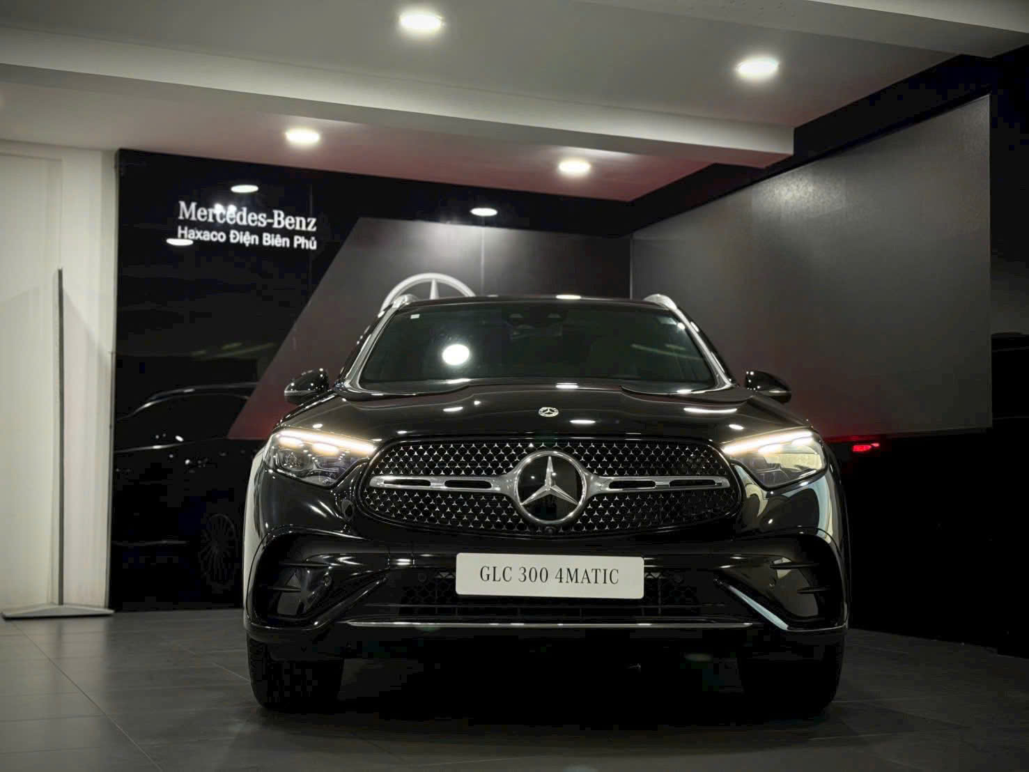 glc 300 (14)