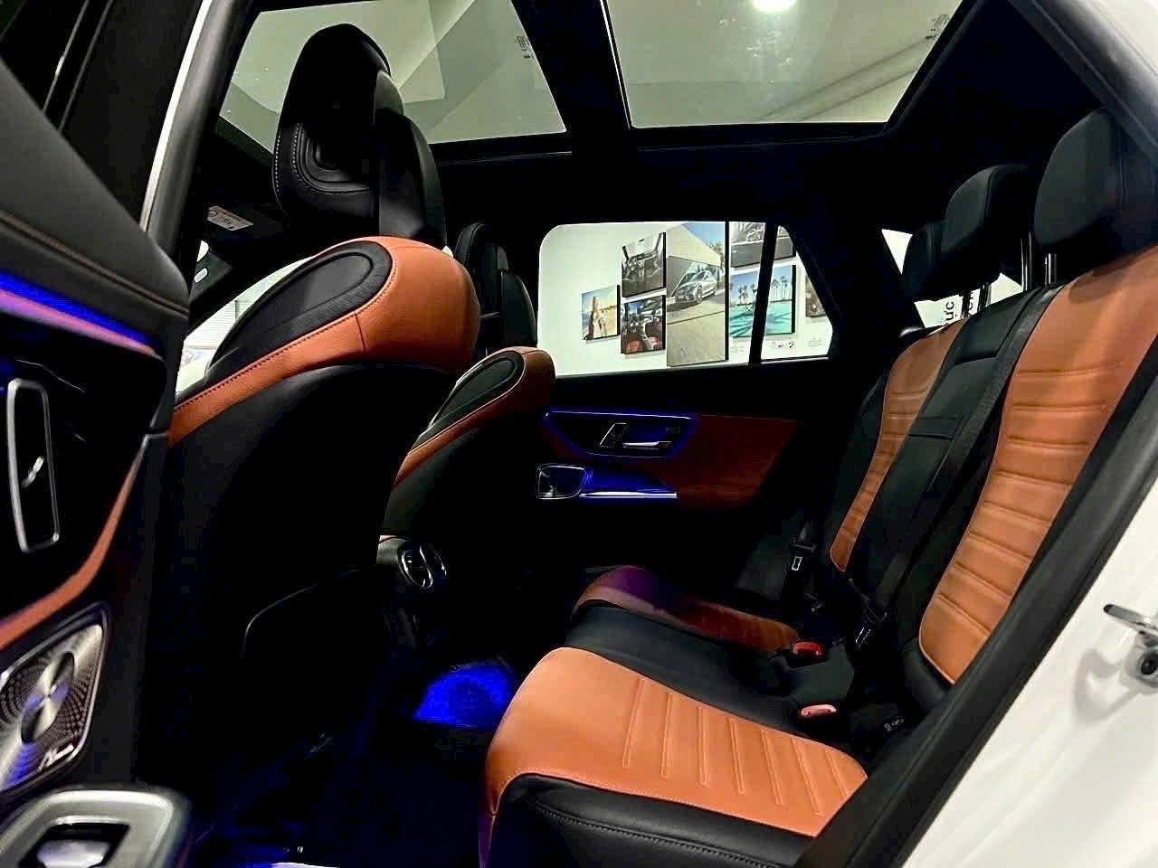glc 300 (9)